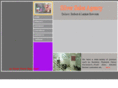 silversalesagency.com