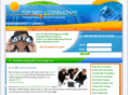 topseo-consultant.com