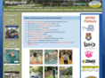 waynesvilleparksandrec.com