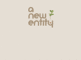 anewentity.com