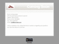 boninitax.com