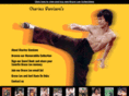 bruceleecollection.com
