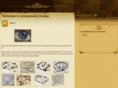 mmojewelry.com