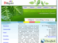 diligroup.com