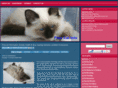 freecatinfo.com