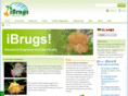 ibrugs.com