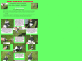 suregripsportsglove.com