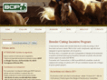 bcip.it