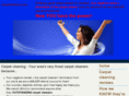 carpetcleanerz.com