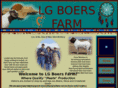 lgboers.com