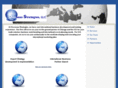 overseasstrategies.com