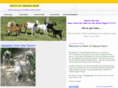 patchofheavenboergoatfarm.com
