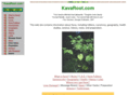 kavaroot.com