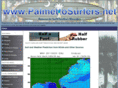 palmettosurfers.com