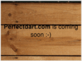 perfectdart.com