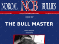 thebullmaster.com