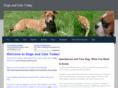 dogsandcatstoday.com