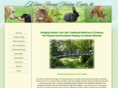 kishmianimalhealing.com