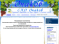 ochakiv.info