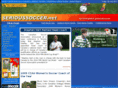 serioussoccer.net