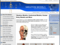 skeletonmodels.com