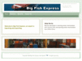 bigfishex.com