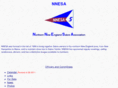 nnesa.org