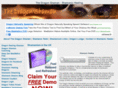 thedragonshaman.com