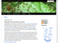 estigmergia.net