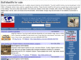 bullmastiffforsale.com