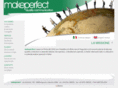 makeperfect.com