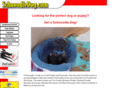 schnoodledog.com