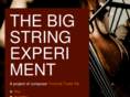 stringexperiment.com