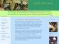 centralcoasttravels.com