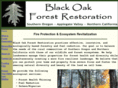 blackoakrestoration.com