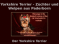 padawis.de