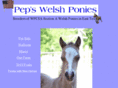 pepswelshponies.com