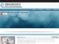 progressiveint.com