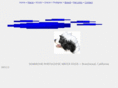 seabrookpwd.com