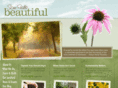 siouxfallsbeautiful.com