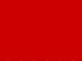 thinkdenovo.com