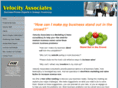 velocityassociates.com