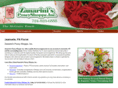 zanarinis.com