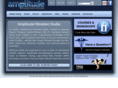 amplitudevibration.com