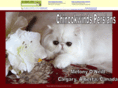 chinookwindspersians.com