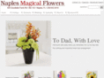 naplesmagicalflowers.com