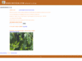 whysun.com