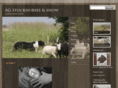 ag-stockhorseshow.com