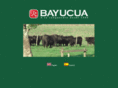 bayucua.com