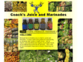 coachsjuice.com